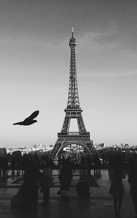 Post With Images Bottom